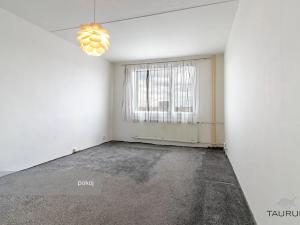 Prodej bytu 1+1, Plzeň, Gerská, 39 m2