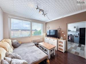 Prodej bytu 1+1, Teplice - Řetenice, Bratislavská, 41 m2