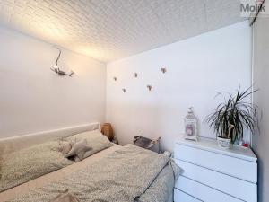 Prodej bytu 1+1, Teplice - Řetenice, Bratislavská, 41 m2
