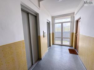 Prodej bytu 1+1, Teplice - Řetenice, Bratislavská, 41 m2