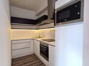 Pronájem bytu 2+kk, České Budějovice, U Lučního jezu, 47 m2
