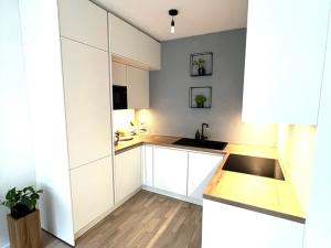 Pronájem bytu 2+kk, Praha - Libeň, Františka Kadlece, 56 m2