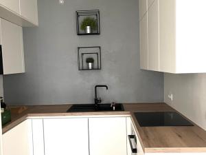 Pronájem bytu 2+kk, Praha - Libeň, Františka Kadlece, 56 m2
