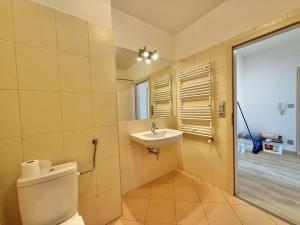 Pronájem bytu 2+1, Krnov - Pod Bezručovým vrchem, Mikulášská, 70 m2