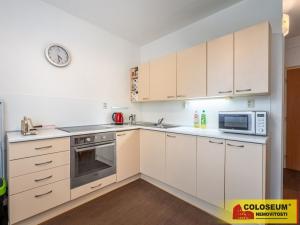 Prodej bytu 1+1, Bílovice nad Svitavou, 35 m2