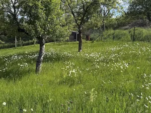 Prodej chaty, Tišnov, 25 m2
