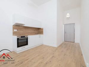 Pronájem bytu 1+kk, Ostrava, Palackého, 20 m2
