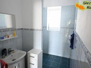 Prodej rodinného domu, Albrechtičky, 320 m2