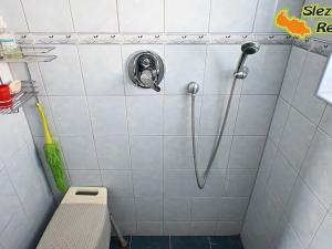 Prodej rodinného domu, Albrechtičky, 320 m2