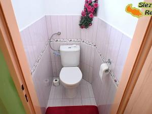 Prodej rodinného domu, Albrechtičky, 320 m2