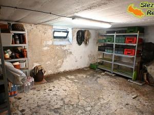 Prodej rodinného domu, Albrechtičky, 320 m2