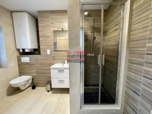 Pronájem bytu 2+kk, Bechyně, Široká, 59 m2