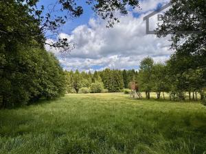 Prodej rodinného domu, Chodský Újezd - Žďár, 380 m2