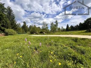 Prodej rodinného domu, Chodský Újezd - Žďár, 380 m2