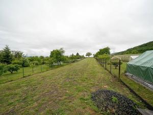 Prodej rodinného domu, Hrabůvka, 267 m2