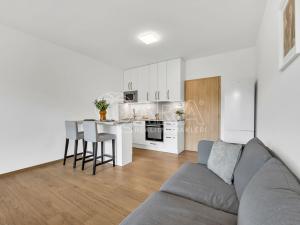 Pronájem bytu 1+kk, Slaný, Lázeňská, 34 m2