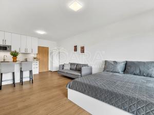 Pronájem bytu 1+kk, Slaný, Lázeňská, 34 m2