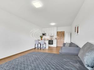 Pronájem bytu 1+kk, Slaný, Lázeňská, 34 m2