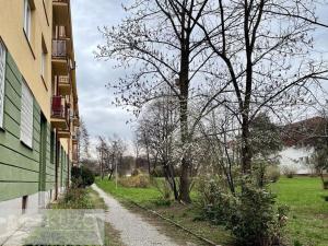 Pronájem bytu 1+1, Praha - Strašnice, Nedvězská, 40 m2