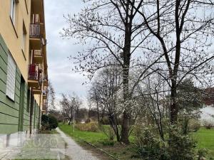 Pronájem bytu 1+1, Praha - Strašnice, Nedvězská, 40 m2
