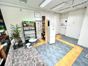 Pronájem obchodního prostoru, Ústí nad Labem, Jateční, 53 m2