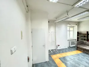 Pronájem obchodního prostoru, Ústí nad Labem, Jateční, 53 m2