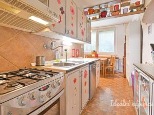 Pronájem bytu 4+1, Brno - Slatina, Dědická, 91 m2