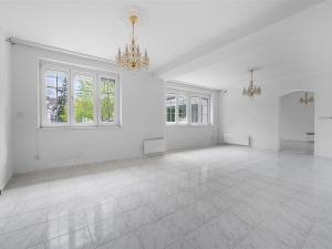 Prodej rodinného domu, Družec, V Zátiší, 289 m2