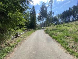 Prodej lesa, Kladruby, 287 m2