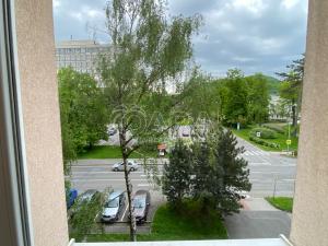 Pronájem bytu 1+1, Kopřivnice, Štefánikova, 38 m2