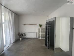 Pronájem obchodního prostoru, Litvínov - Horní Litvínov, Studentská, 50 m2