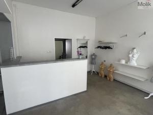 Pronájem obchodního prostoru, Litvínov - Horní Litvínov, Studentská, 50 m2