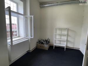 Pronájem obchodního prostoru, Litvínov - Horní Litvínov, Studentská, 50 m2