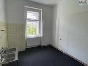 Pronájem obchodního prostoru, Litvínov - Horní Litvínov, Studentská, 50 m2