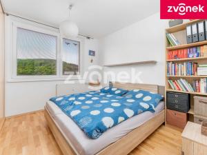 Prodej bytu 3+1, Luhačovice, 74 m2