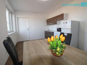Pronájem bytu 1+1, Česká Lípa, Svojsíkova stezka, 49 m2