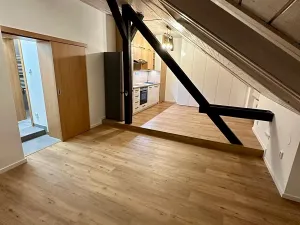 Pronájem bytu 1+kk, Ostrava, Dvorní, 40 m2