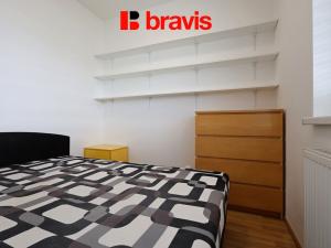 Pronájem bytu 1+kk, Brno, Říčanská, 35 m2