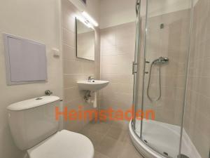 Pronájem bytu 1+kk, Havířov - Město, Hlavní třída, 21 m2