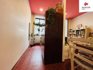 Pronájem bytu 2+kk, Trutnov, Havlíčkova, 45 m2