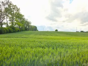 Prodej pole, Kyjov, 2649 m2
