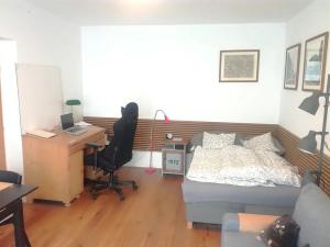 Pronájem bytu 1+kk, Brno, Masná, 35 m2