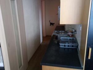 Pronájem bytu 3+1, Olomouc - Lazce, Dlouhá, 71 m2