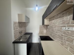 Pronájem bytu 2+kk, Litvínov - Horní Litvínov, Koldům, 49 m2