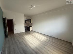 Pronájem bytu 2+kk, Litvínov - Horní Litvínov, Koldům, 49 m2