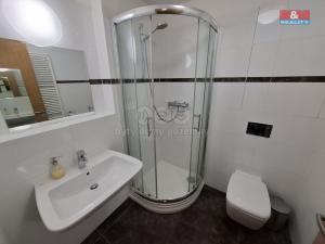 Pronájem bytu 1+kk, Praha - Smíchov, Radlická, 32 m2