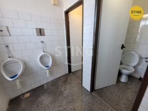 Pronájem kanceláře, Ostrava, 28. října, 33 m2
