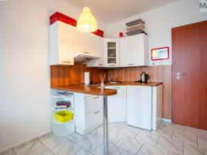 Prodej bytu 2+kk, Litvínov - Horní Litvínov, Ruská, 36 m2