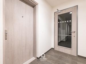 Prodej bytu 1+kk, Praha - Hloubětín, Poděbradská, 32 m2