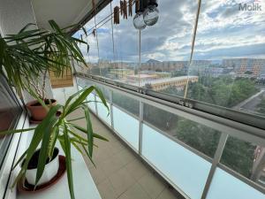 Pronájem bytu 2+kk, Most, Rozmarýnová, 48 m2